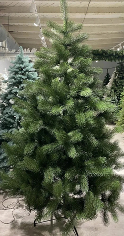 Сосна Царь елка Триумфальная 210 см ТМ-210