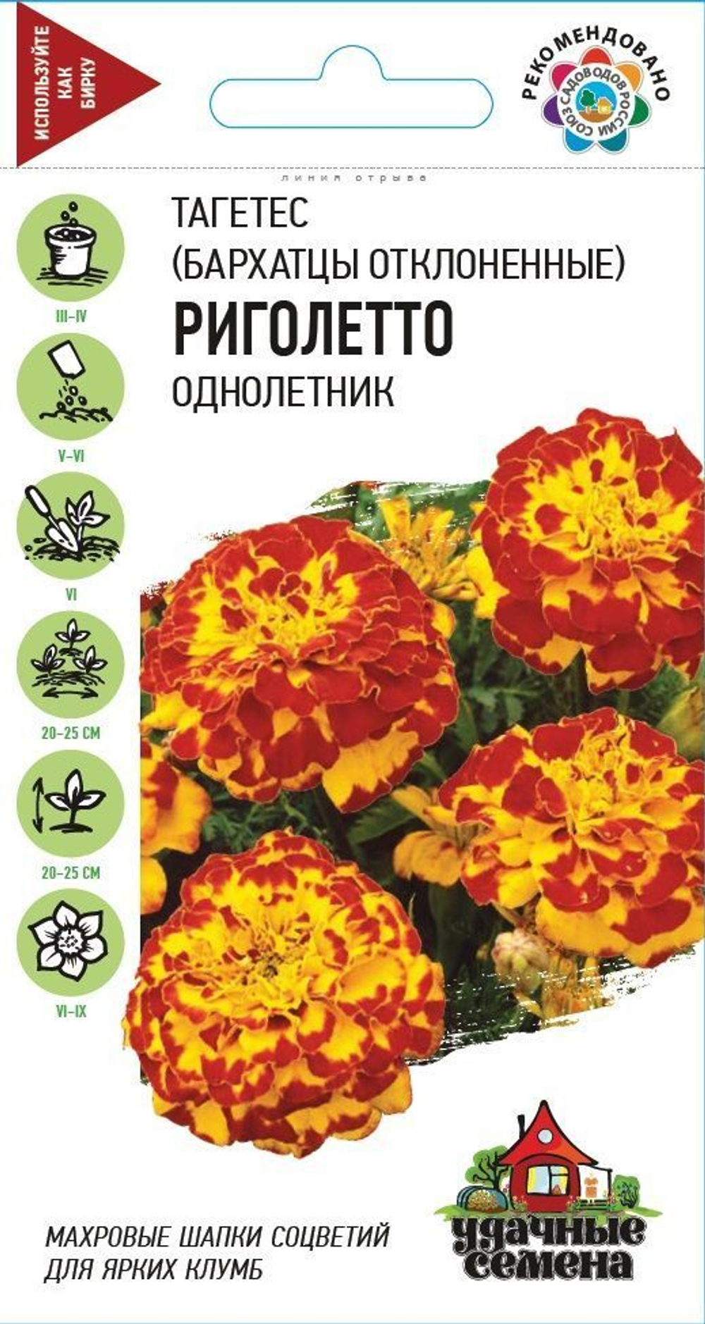 Бархатцы Риголетто
