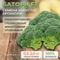 БАТОРИ F1 семена капусты брокколи (Syngenta | Alexagro)