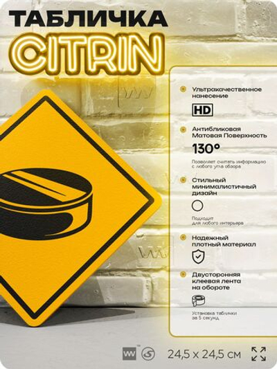 Табличка декоративная "Хоккейная шайба" на дверь и стену, спортивная, информационная, декоративный знак, 24,5х24,5 см, пластиковая, Айдентика Технолоджи