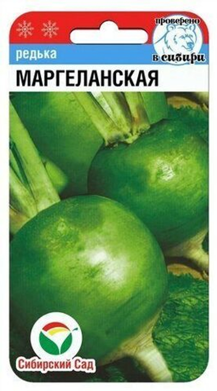 Редька Маргеланская Сибсад