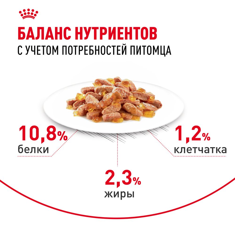 Пауч Royal Canin Light Weight Care для взрослых кошек, для профилактики избыточного веса, мелкие кусочки в желе Пауч Royal Canin Light Weight Care для взрослых кошек, для профилактики избыточного веса, мелкие кусочки в желе