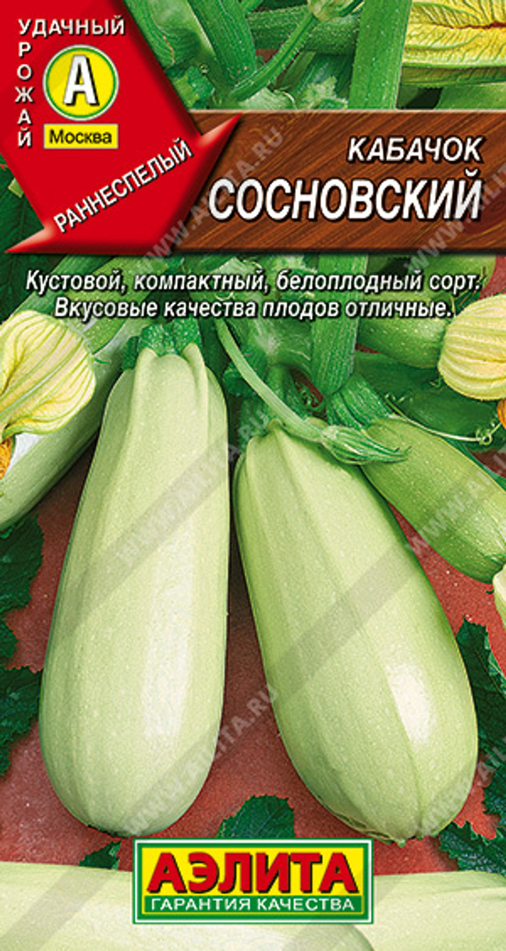 Кабачок белоплодный Сосновский