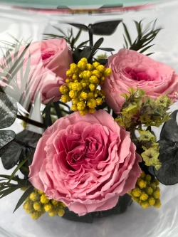 Натуральные пионы в стекле, вакуум