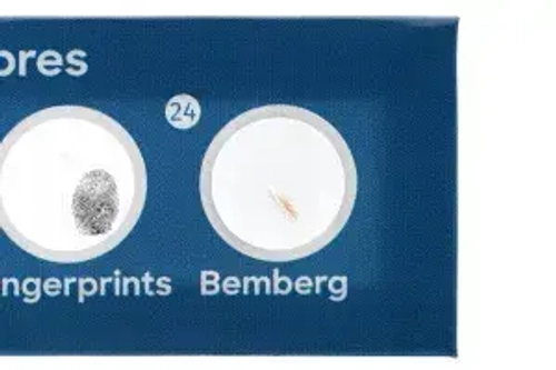 Набор микропрепаратов Levenhuk Discovery «Флора и фауна», 24 шт.