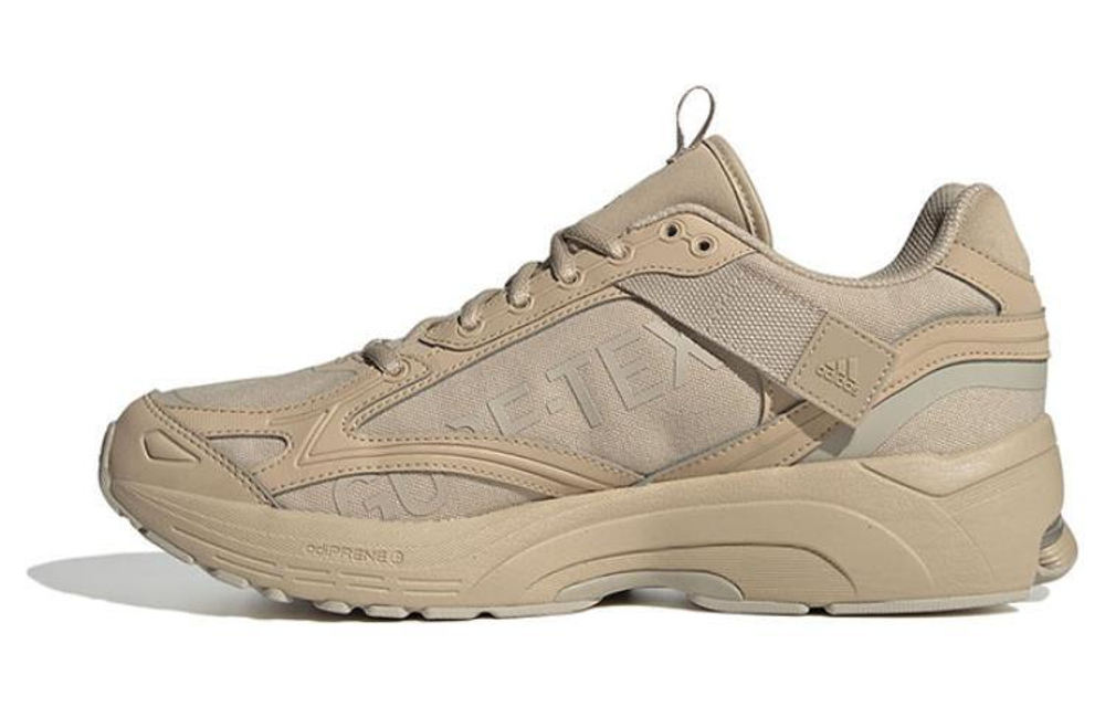 Кроссовки Adidas Spiritain 2000 Gtx