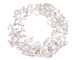 Seasonal Wreaths of plants and friends. Coloring Book