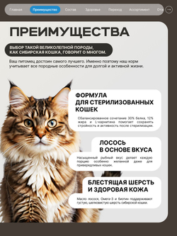 Корм сухой для стерилизованных кошек породы Сибирская, с лососем, 5 кг, QUATTRO