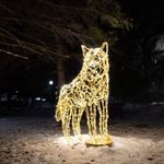 Светодиодная фигура "Волк"