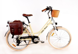 Электровелосипед Elbike Monro