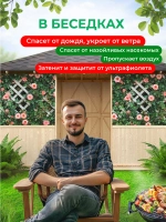 Фотосетка на забор розы на решетке 2х1,58 м