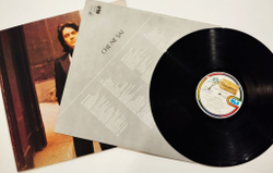 Винтажная виниловая пластинка LP Riccardo Fogli Che Ne Sai (Italy 1979)