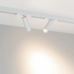 Светильник MAG-SPOT-25-R120-12W Day4000 (WH, 30 deg, 24V) (Arlight, IP20 Металл, 5 лет) 050076