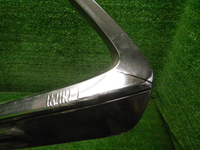 DSCN0309.JPG
