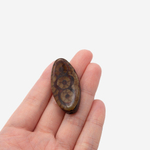 Бусина Дзи "Шесть глаз" из агата, 40*20мм, коричневый