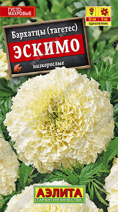 Бархатцы прямостоячие Эскимо