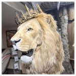 Реплика головы «Африканский лев» король