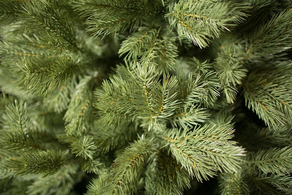 Ель искусственная «Шервуд» (Литая хвоя) 180 см / 1,8 м