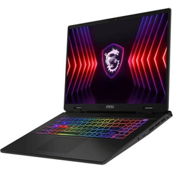Ноутбук MSI Sword 17 HX B13VEKG-200XRU-wpro