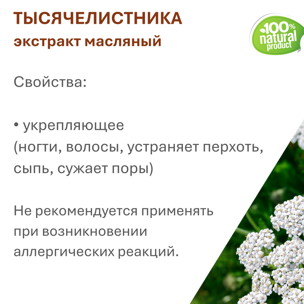 Экстракт тысячелистника, масляный