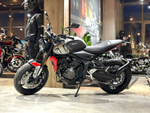 Triumph Trident 660 Gray
