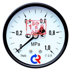 Манометр ТМ-310Т.00(0-1,0МПа)G1/4, 2.5,150С,осевой