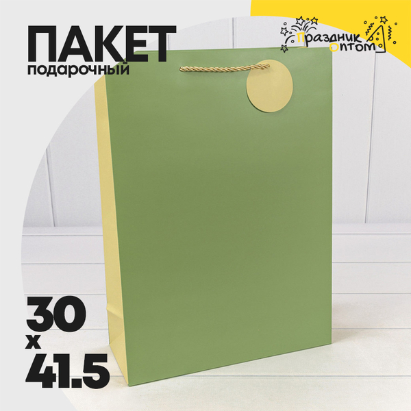
          Пакет подарочный 30х41.5х12см Премиум (Зеленый)