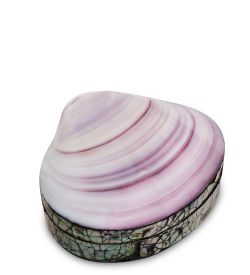 Decor and Gift 54-038 Декоративная шкатулка «Ракушка»