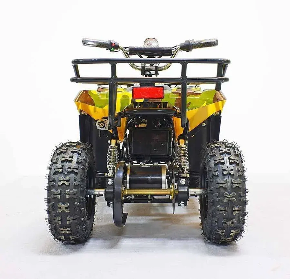 Электроквадроцикл Green Camel Гоби K40 (36V 800W R6 Цепь) быстросъем