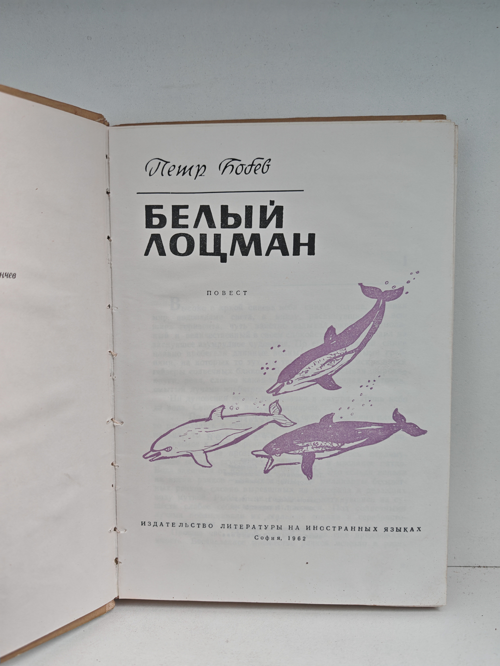 Белый лоцман