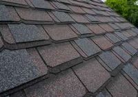 SHINGLAS Континент (Трехслойная) 3D