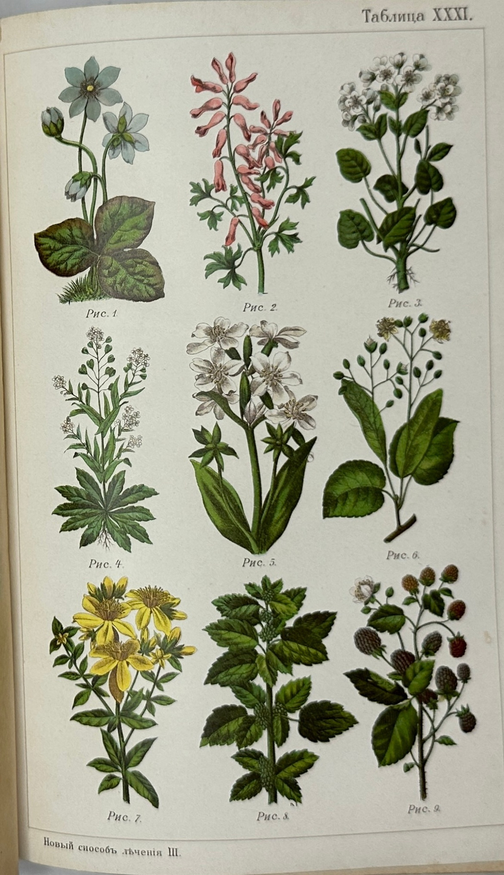 Платен М. Новый способ лечения. Лечение целебными силами природы. — Берлин: Изд. Просвещение, 1901