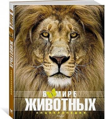Энциклопедия для детей 