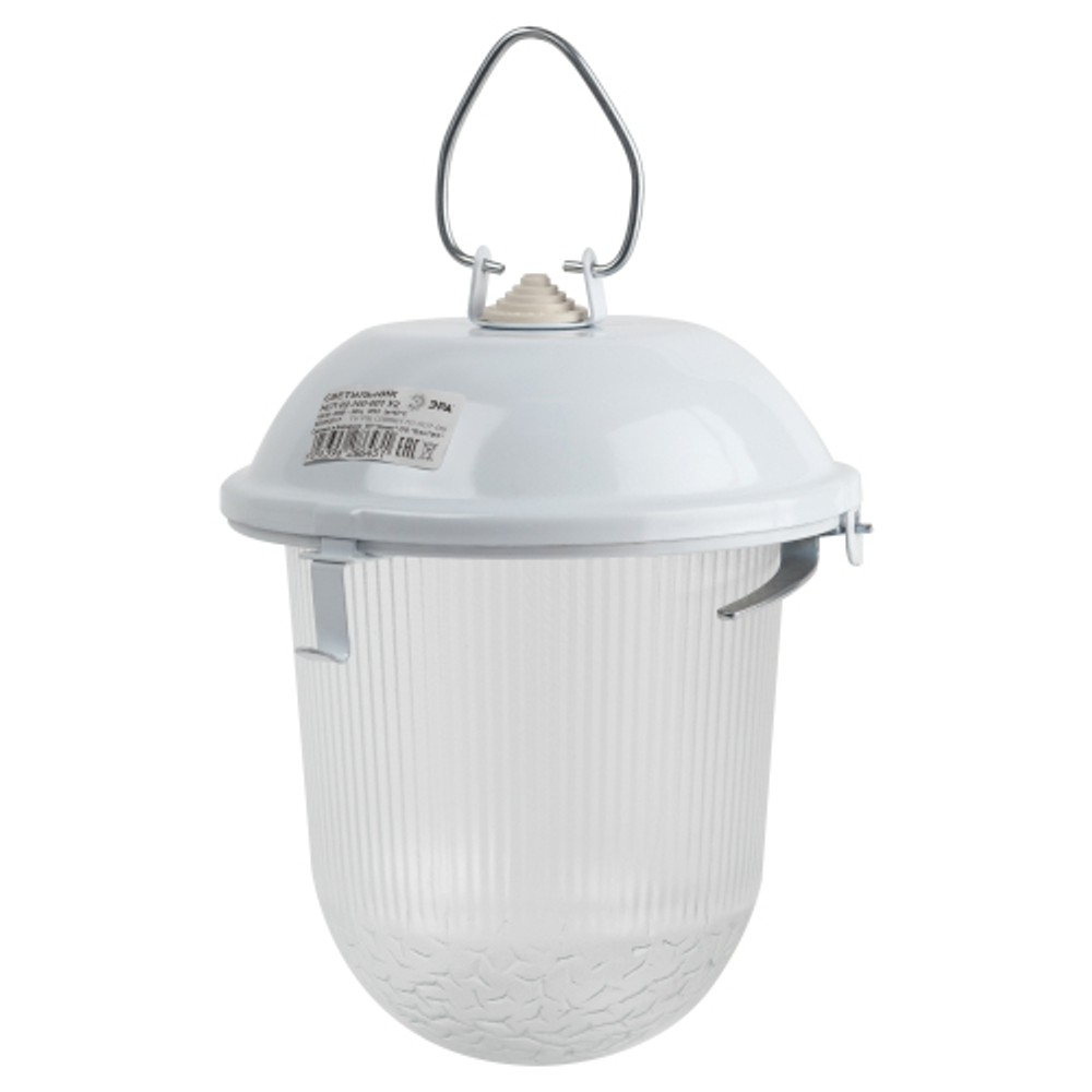 Светильник ЭРА НСП 02-100-001 без решетки Желудь сталь / стекло IP54 E27 max 100Вт 262х172 белый