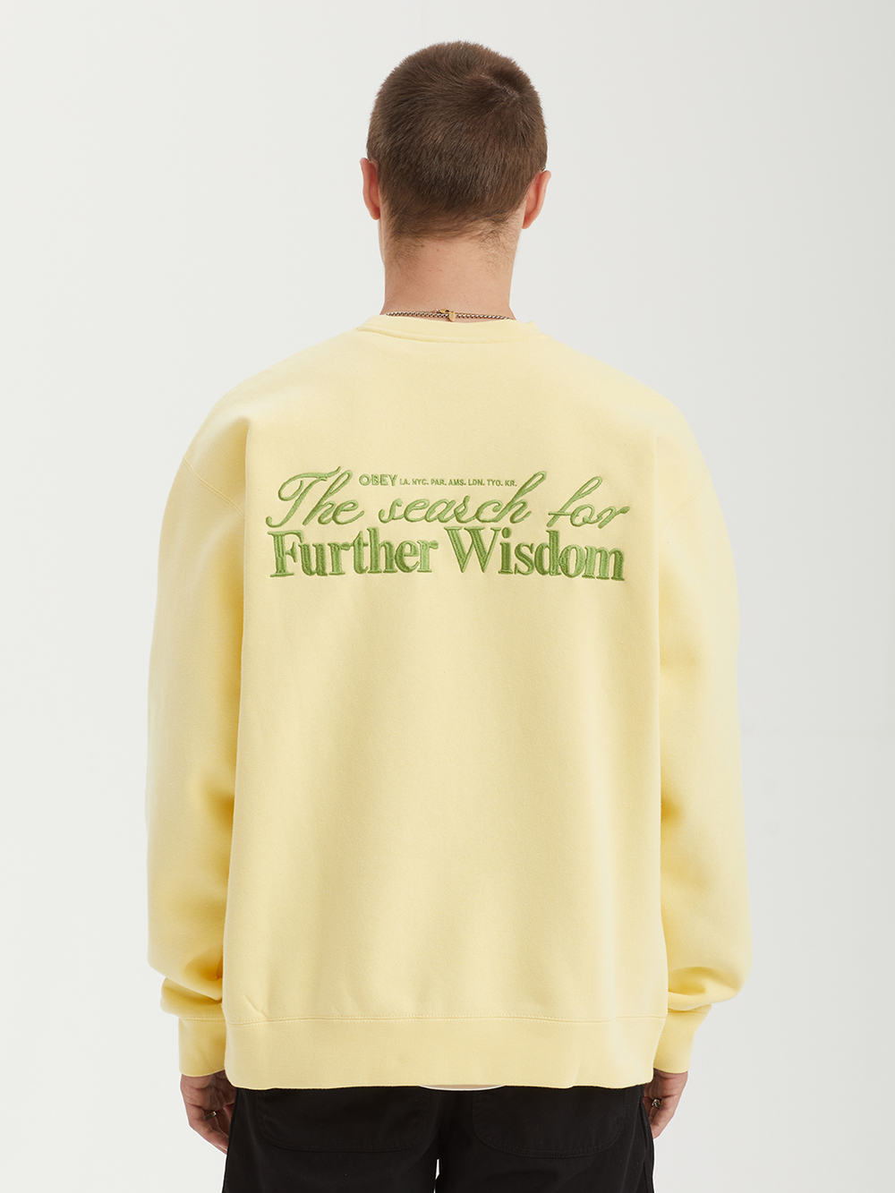 Мужская Толстовка Further Wisdom