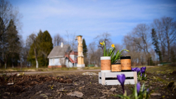 Малая фарфоровая пиала или миска для завтрака с берестой. Коллекция Чеховская или Мелиховская