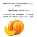 Тыква и карамель, кубики восковые для ароматизации, 10 штук