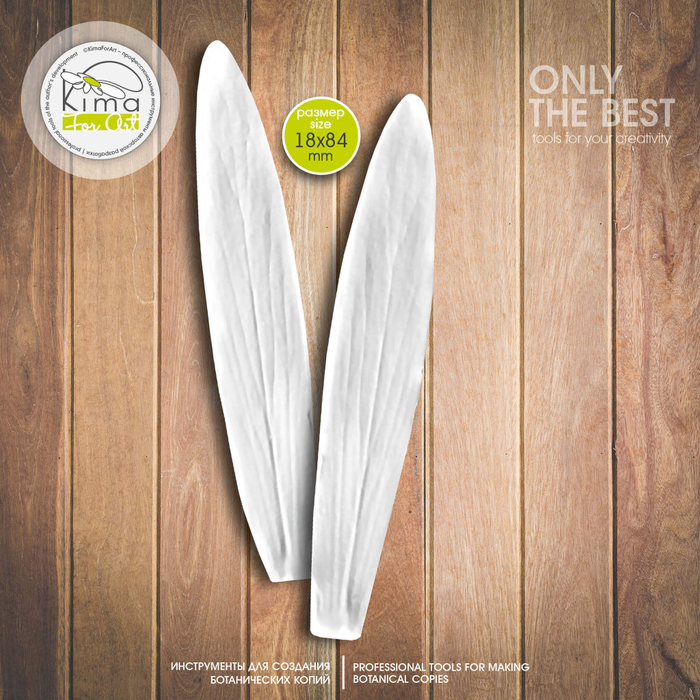 Протея лепесток вытянутый