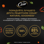 Индейка с горохом и морковью в желе, 80г влажный корм для собак, Cesar Natural Goodness