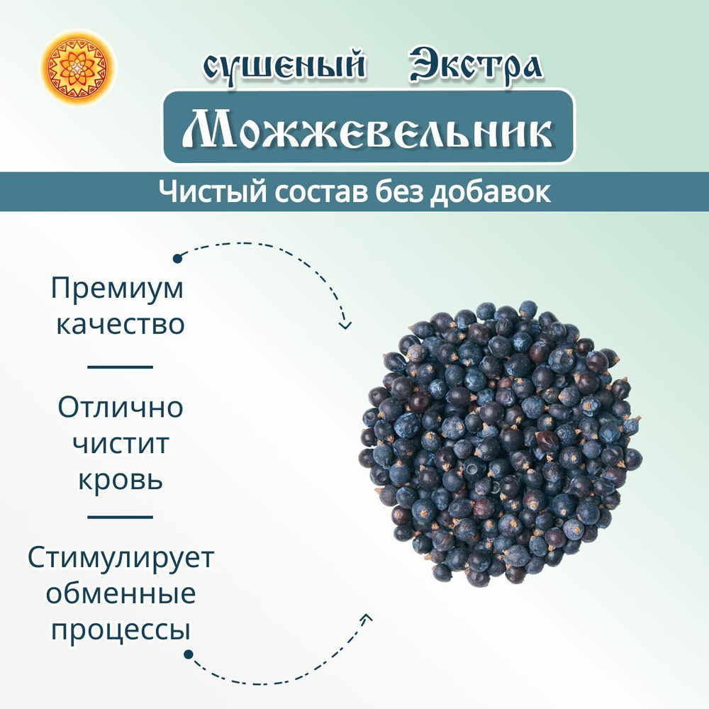 Можжевельник.