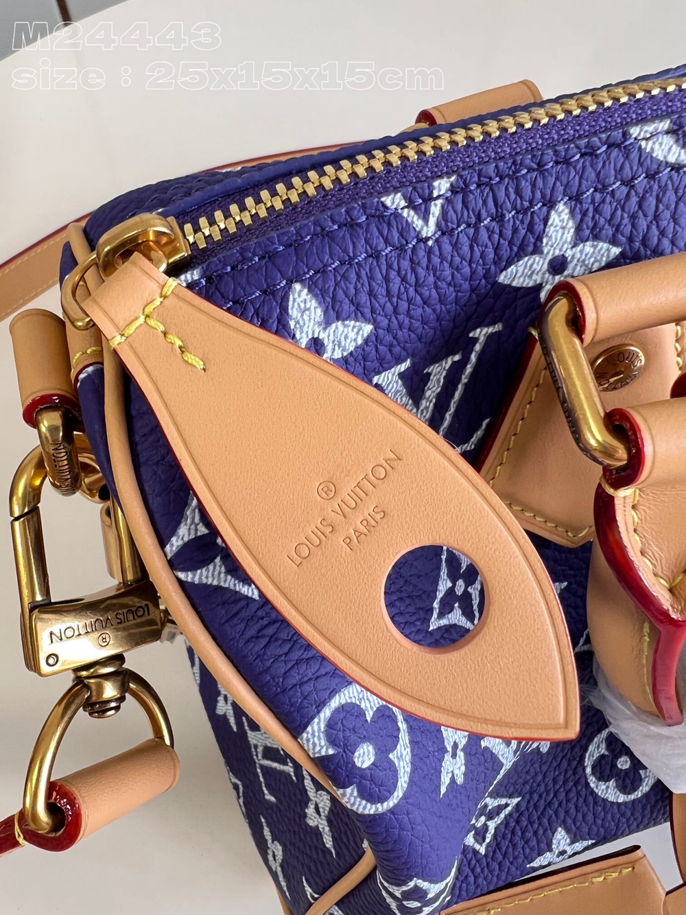 Louis Vuitton Speedy P9 Bandouliere 25
