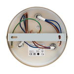 Потолочная люстра Freya Isabella FR5095CL-06G