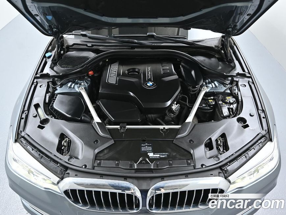 BMW 5 Series (G30) 530i Luxury Plus (08.2019)