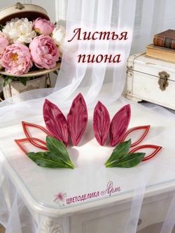 Листья пиона