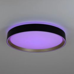 Citilux BOSS CL751351G LED RGB Светильник с пультом Чёрный с Золотом