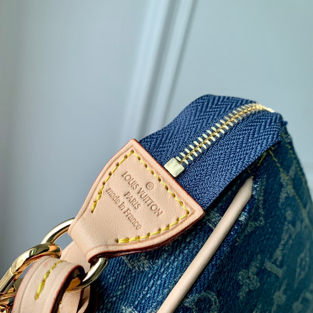 Louis Vuitton Pochette Accessoires