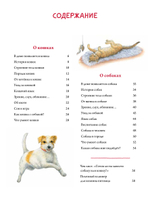 Моя самая красивая книга о кошках и собаках