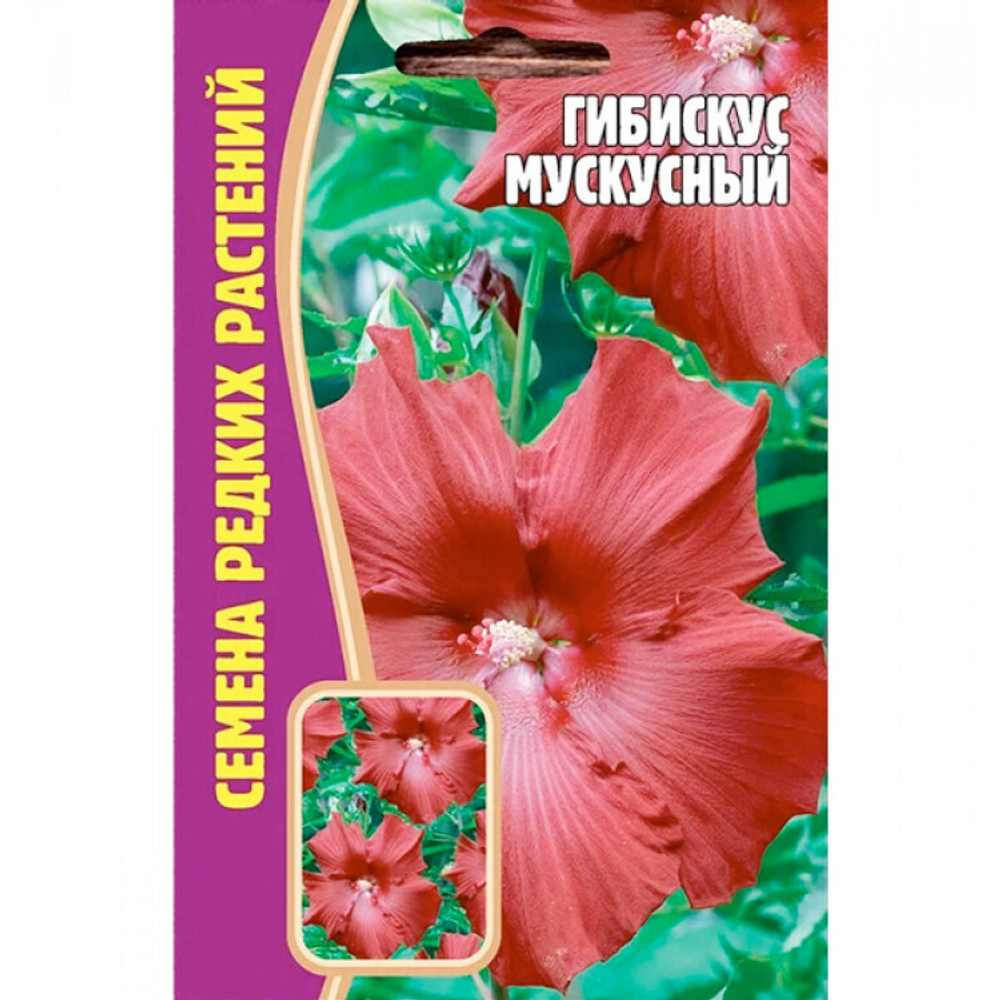 Гибискус Мускусный