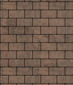 Тротуарная плитка ВЫБОР, форма Прямоугольник 100*200, h=60мм