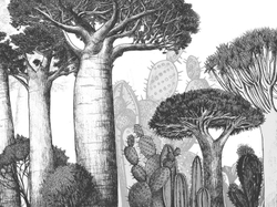 ZOO 21
